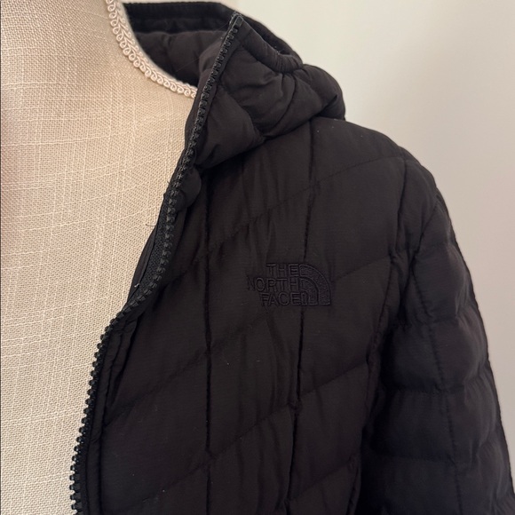 The North Face ThermoBall PrimaLoft Hooded Parka - Picture 4 of 7